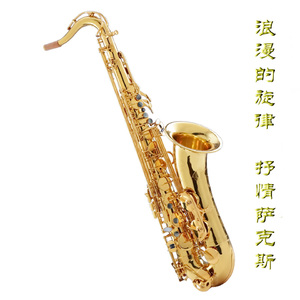 free性欧美婬妇oldwoman
